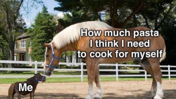 50 Of The Best Damn Photos On The Internet Today