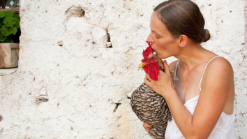 The CDC Is Politely Asking Americans To Stop Kissing Chickens Due To A Spike In Salmonella Cases