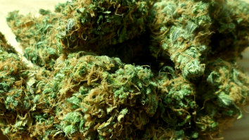 Guy Flings Trash Bag Filled With $20K Worth Of Pot Off Roof, Triggers Free-For-All Down Below