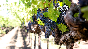 Man Stuck Inside Giant Fan For 2 Days At A Vineyard Rescued By Authorities, Drugs Suspected