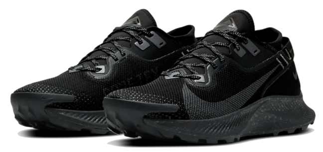 Nike Pegasus Trail 2 GORE-TEX
