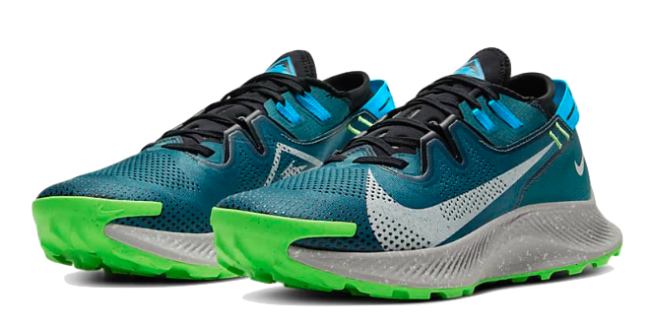 Nike Pegasus Trail 2