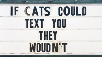 50 Of The Best Damn Photos On The Internet Today