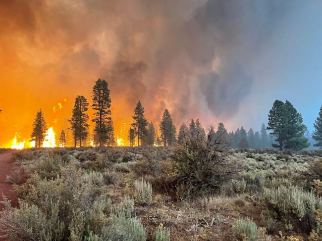 Bootleg Fire Oregon
