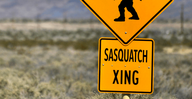 Man In Iowa Photographs What He Believes Is Bigfoot