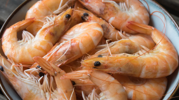 TikTok Of A Guy Saving A Shrimp’s Life By Removing Parasites Is Truly Disturbing