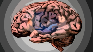 Mini Brains Grown In A Lab By Scientists Developed Their Own Sets Of ‘Eyes’