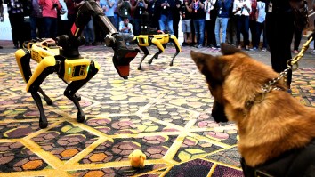 TikTok Video Shows University Of Missouri Students Being Escorted By… Robot Police Dogs?