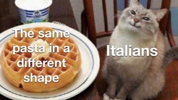 50 Of The Best Damn Photos On The Internet Today