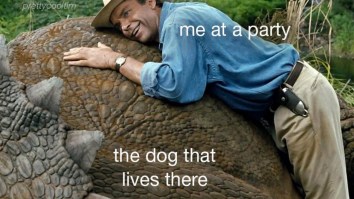 50 Of The Best Damn Photos On The Internet Today