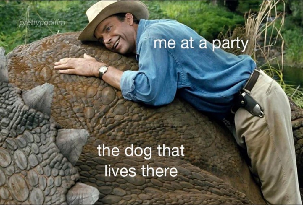 best 50 memes tuesday party dogs