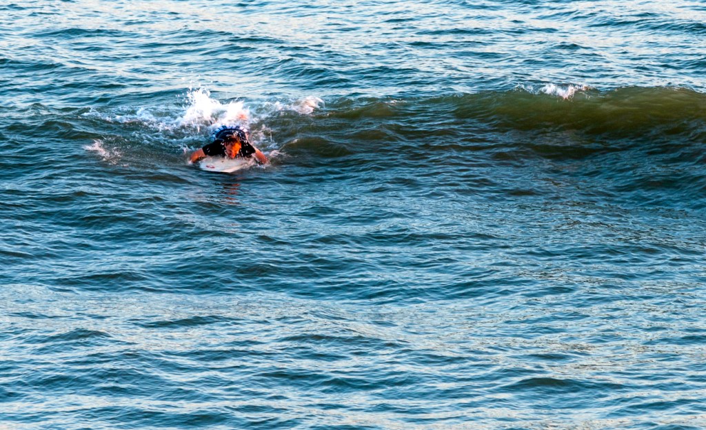 Spinner Shark jumps over surfer in North Myrtle Beach