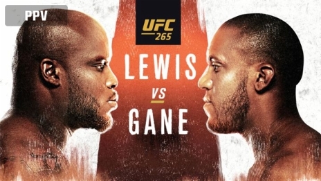 UFC 265