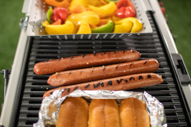 Eckrich grill