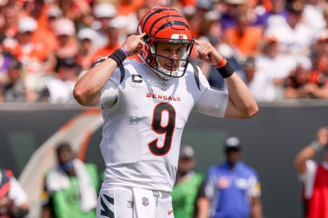 Joe Burrow Flop Bengals Bears