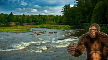 Hunters In Michigan Claim To Have Seen Two Bigfoot Creatures Fighting In The Woods