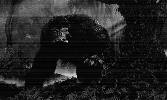 New Bigfoot Sighting Caught On Video In Idaho Unlikely To Be A Hoax