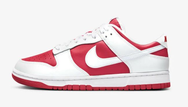 Authenticity Guarantee - Nike Dunk Low