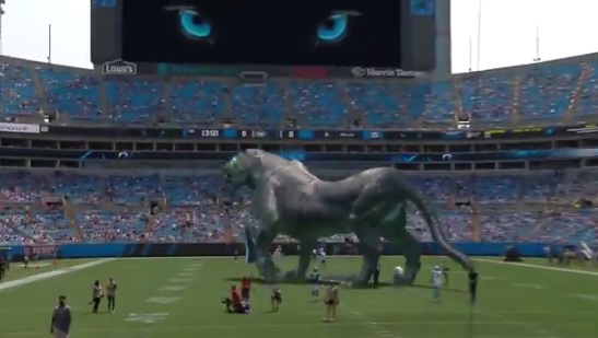 Carolina Panthers