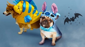 shopDisney’s Halloween Costume Collection Is A Halloween Cheat Code With None Of The Hassle