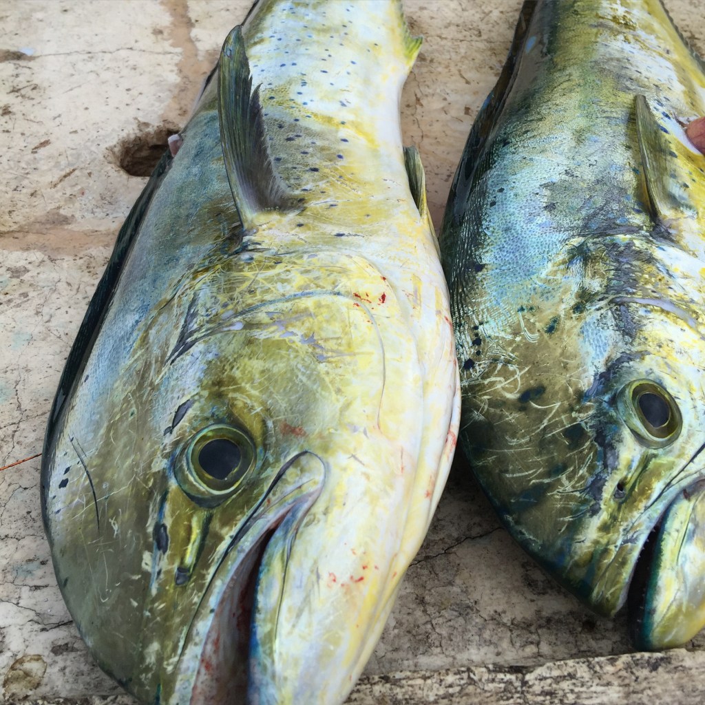 American Fishing Bucket List