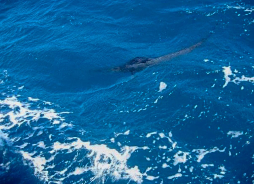 American Fishing Bucket List
