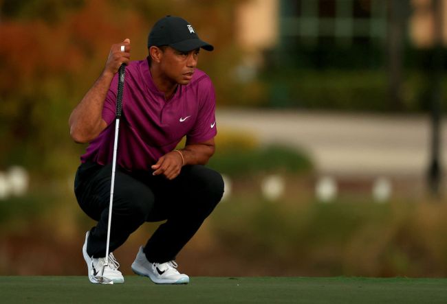 tiger woods backup putter sells auction
