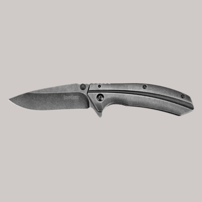 Kershaw Filter Pocket Knife