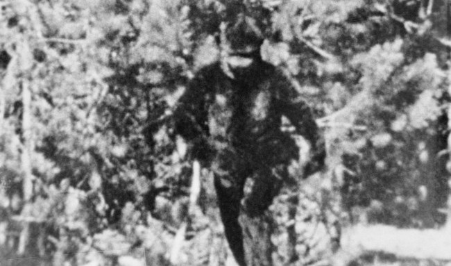 Possible Bigfoot Sighting Reported As Tracks Are Discovered Near Mount St Helens