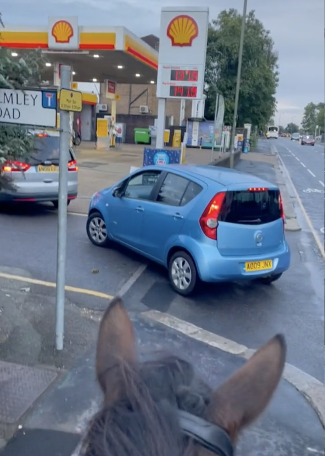 TikTok Queuing For Petrol Cause I'm On A Horse