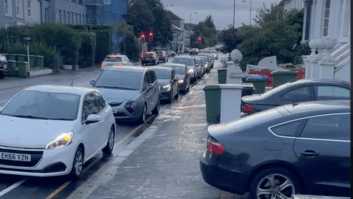 Dolphin On Horseback Taunts Drivers Waiting At London Gas Station In Viral TikTok Video
