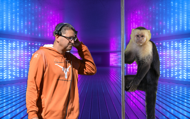 The Pole Assassin Jeff Banks Stripper Girlfriend Emotional Support Monkey Gia Capuchin Special Teams Coach University Of Texas Longhorns