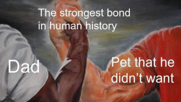 50 Must-See Funny Tweets And Memes Today