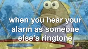 50 Of The Best Damn Photos On The Internet Today
