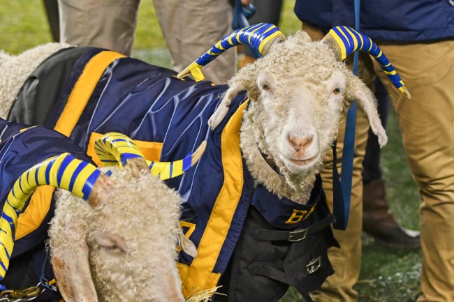Army Cadets Kidnap Wrong Navy Goat Mascot Bill No. 37 No. 34