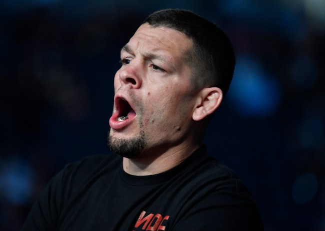 Nate Diaz Gets Into It With Jake Paul And Ben Askren On Twitter