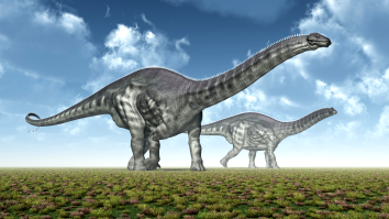 Over 100 Dinosaur Footprints From 150 Million Years Ago Discovered In Colorado Canyonlands