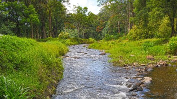 This ‘Alcoholic River’ In Hawaii Is Filled With Water That Could Get Actually Get You Buzzed