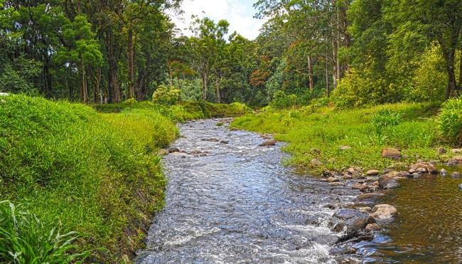 alcoholic river Hawaii