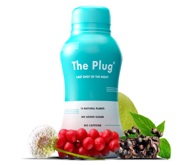 the plug drink
