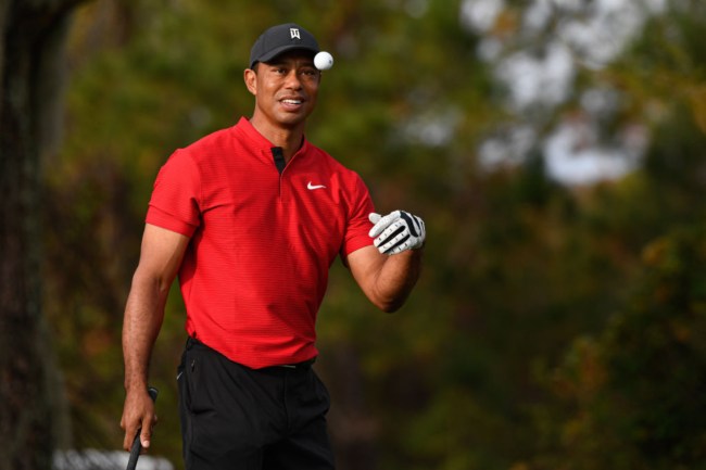 tiger woods walking video reaction