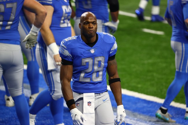 adrian-peterson-nfl-officiating-seattle-seahawks