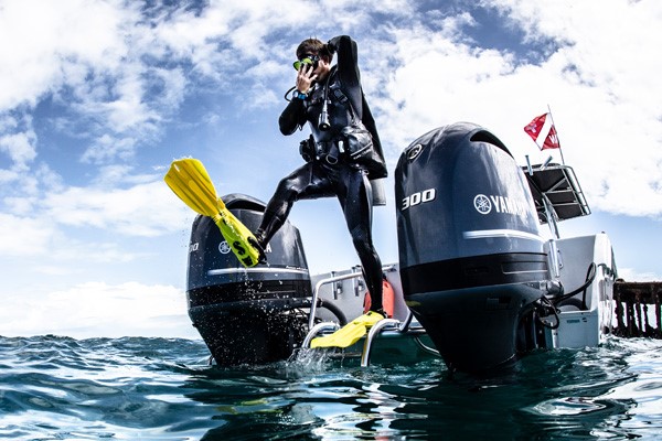 scuba diving lessons