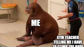 50 Of The Best Damn Photos On The Internet Today