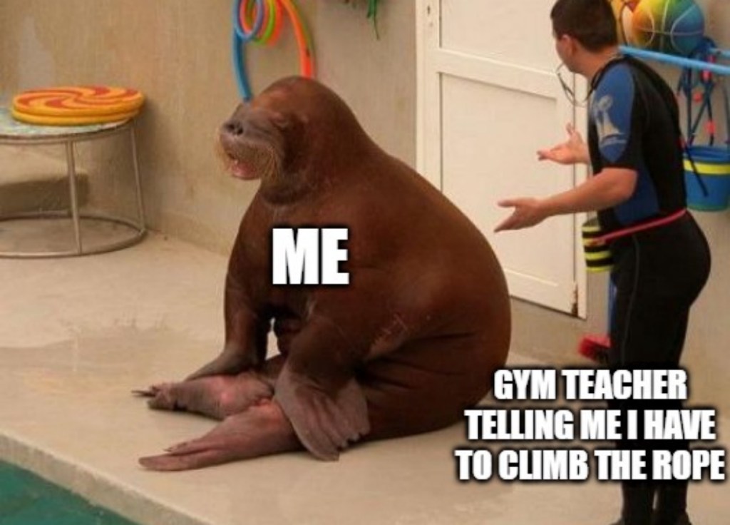 best 50 memes gym class