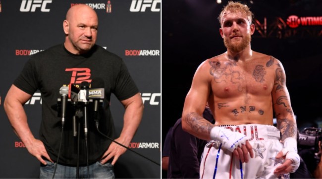 Dana White 