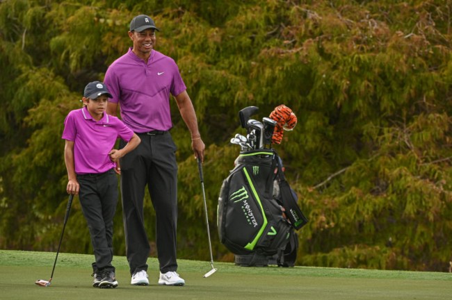 Tiger Woods Announces He's Returning, Golf World Reacts With Memes