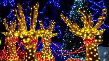This Upstate NY House Has Set A World Record For The Most Christmas Lights Ever