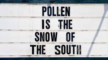 50 Of The Best Damn Photos On The Internet Today