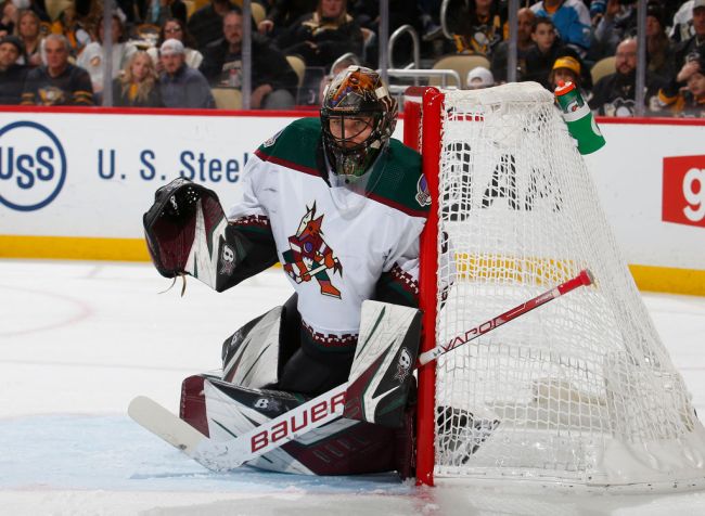 arizona-coyotes-surprising-solution-arena-issues